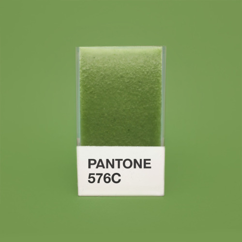 Try the ultra fresh Pantone Smoothie 576c - sweet like pear & healthy AF.
INGREDIENTS:
½ pear
1/3 cup fresh spinach
½ banana
½ cup coconut water
1 tbsp honey
INSTRUCTIONS:
Put it all in the blender, and add ice to amp up the freshness. Mix til...